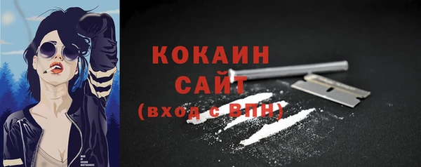 ПСИЛОЦИБИНОВЫЕ ГРИБЫ Баксан
