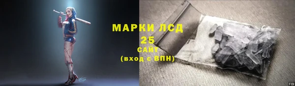 ПСИЛОЦИБИНОВЫЕ ГРИБЫ Баксан
