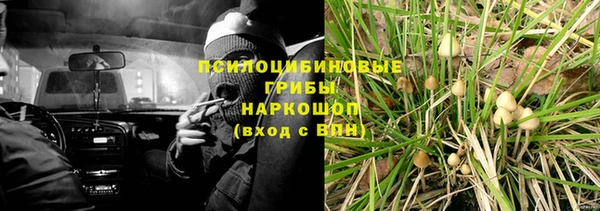 ПСИЛОЦИБИНОВЫЕ ГРИБЫ Баксан