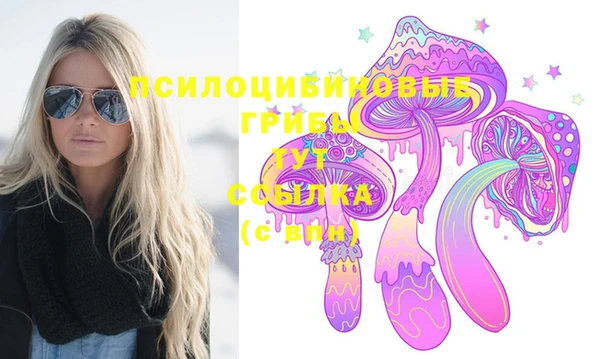 ПСИЛОЦИБИНОВЫЕ ГРИБЫ Баксан