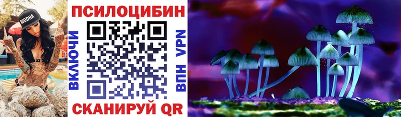 Галлюциногенные грибы мицелий купить закладку дарк нет клад Новотроицк