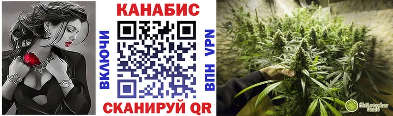 Шишки марихуана AK-47  OMG онион  Новотроицк  как найти закладки 